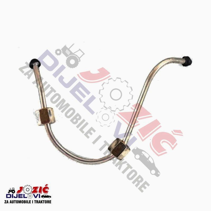 Daisy on the Ohoopee